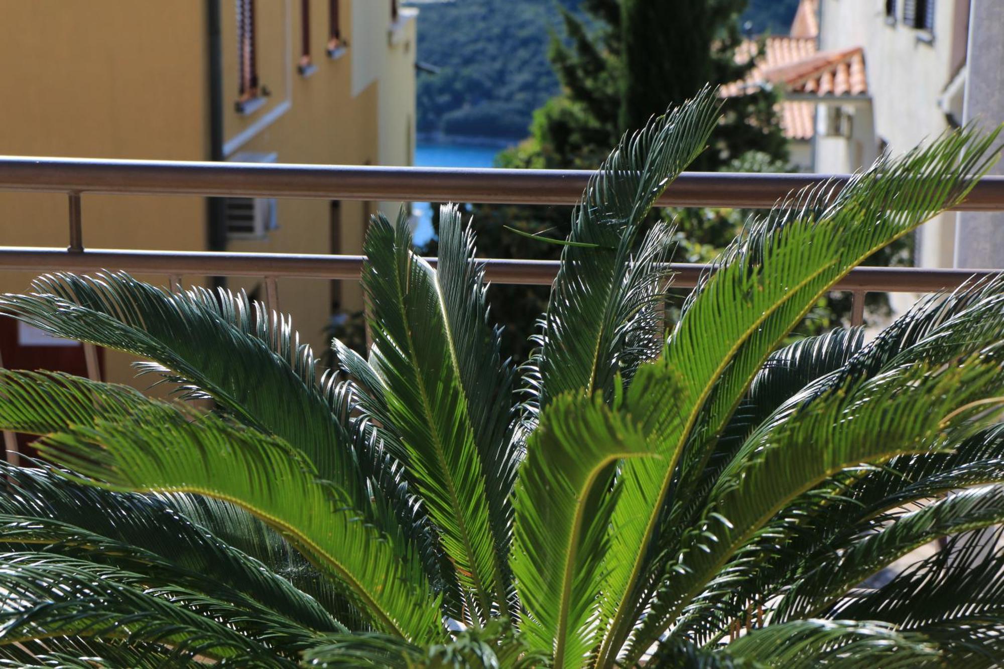 Apartments With A Parking Space Rabac, Labin - 7429 Kültér fotó